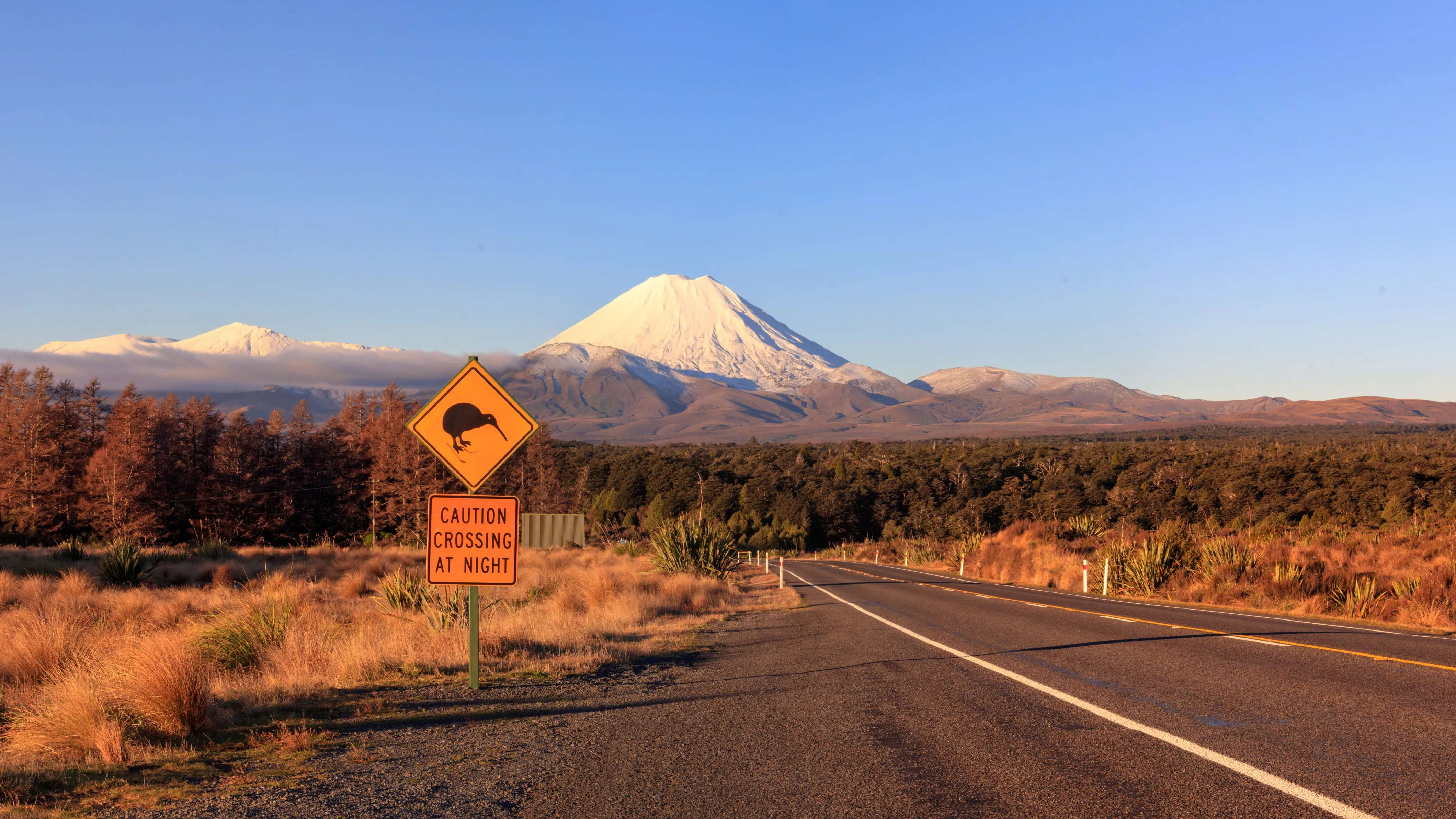 Ngauruhoe at sunset, Tongariro National Park, New Zealand