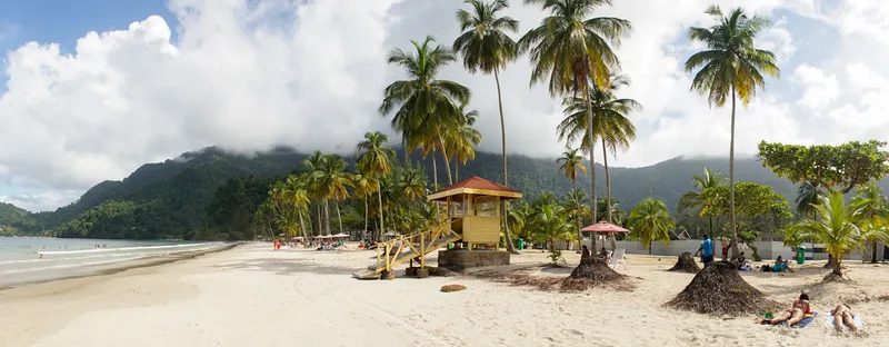 Ocean and Palm Trees at Maracas Beach in Trinidad and Tobago, Caribbean.